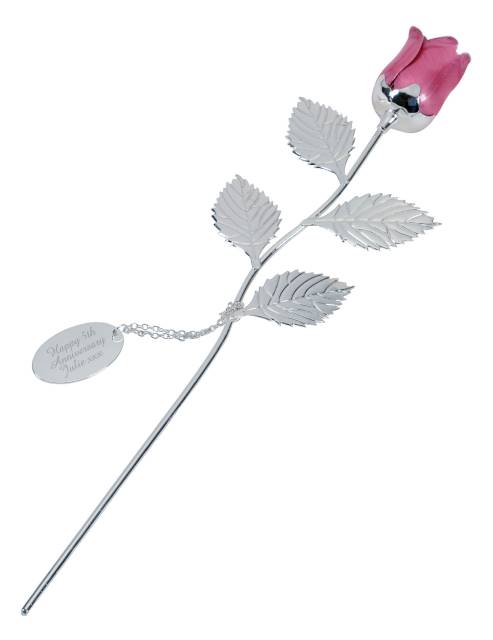 Silver-Plated-Pink-Rose_16-00-29.jpeg