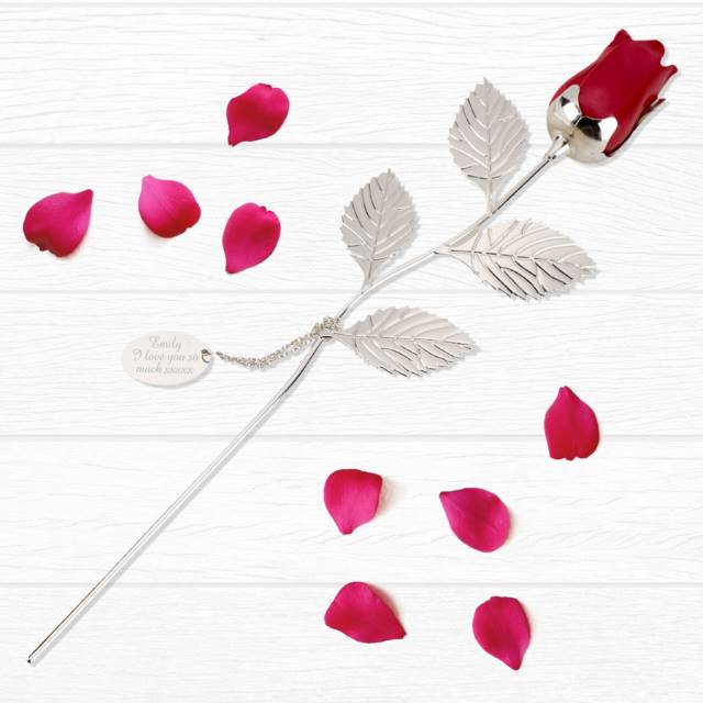 Silver-Plated-Red-Rose_16-00-29.jpeg