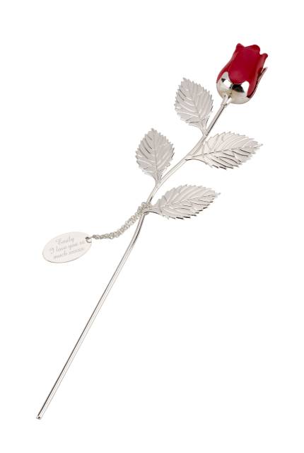 Silver-Plated-Red-Rose_16-00-33.jpeg