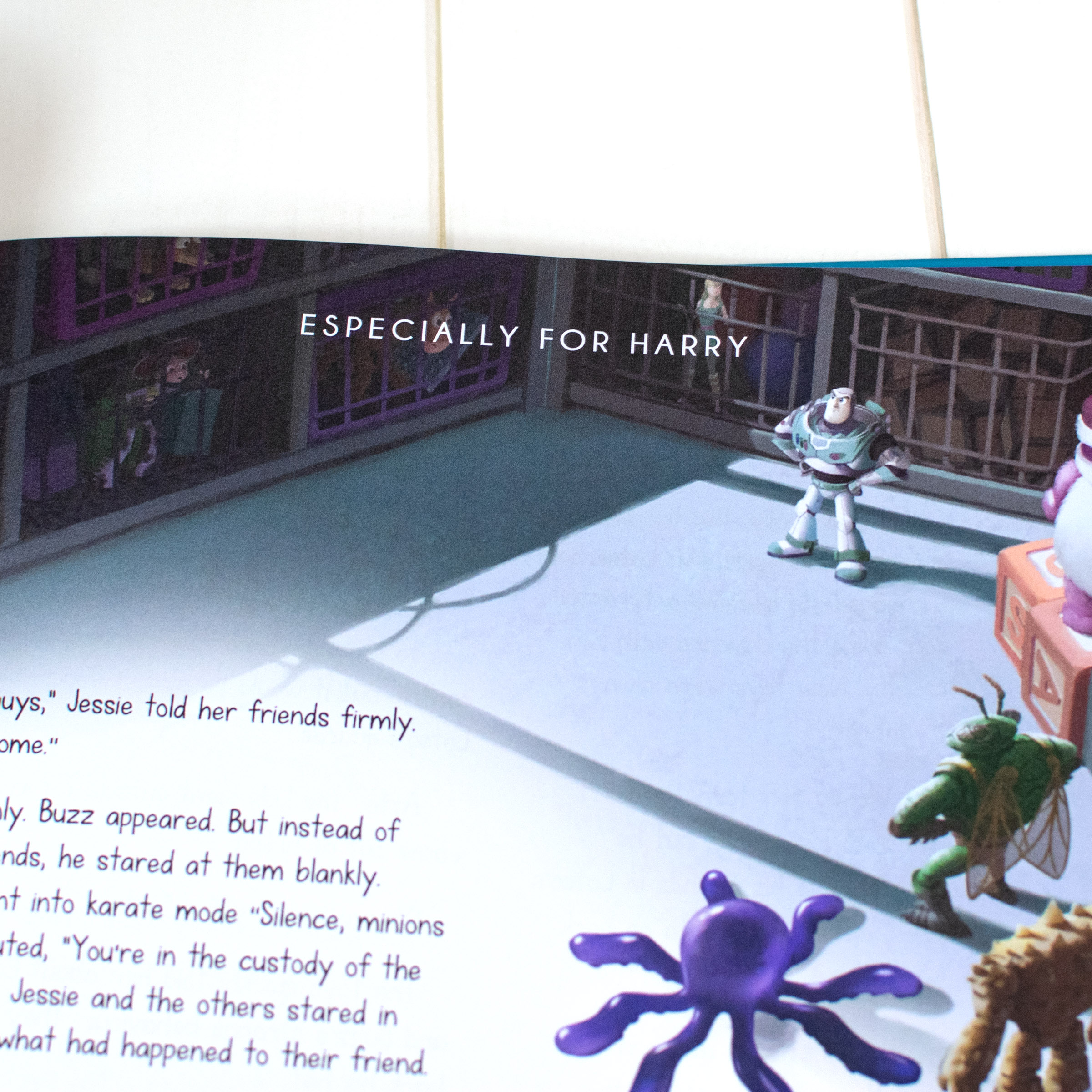 Toy-Story_Collection_Deluxe_spread_name.jpg